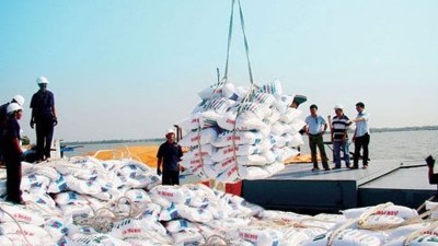 Fertilizer exports surge amid global supply disruptions