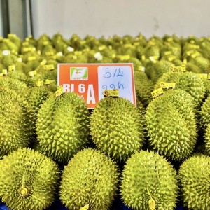 Sầu riêng xuất khẩu phải có mã số vùng trồng.