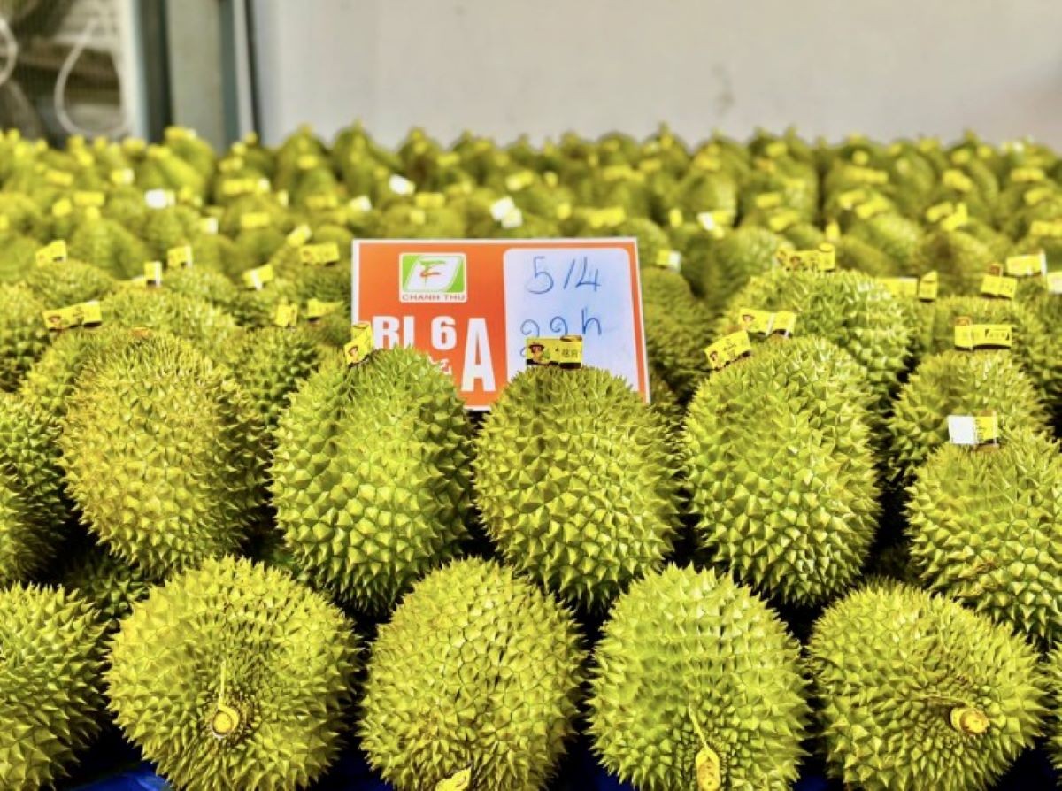 Sầu riêng xuất khẩu phải có mã số vùng trồng.