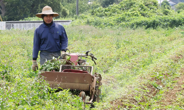 Lượng kiều hối chuyển từ Nhật Bản ra nước ngoài đạt mức kỷ lục, tương đương 6,2 tỷ USD