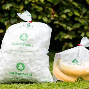 Ảnh minh họa: Polybags