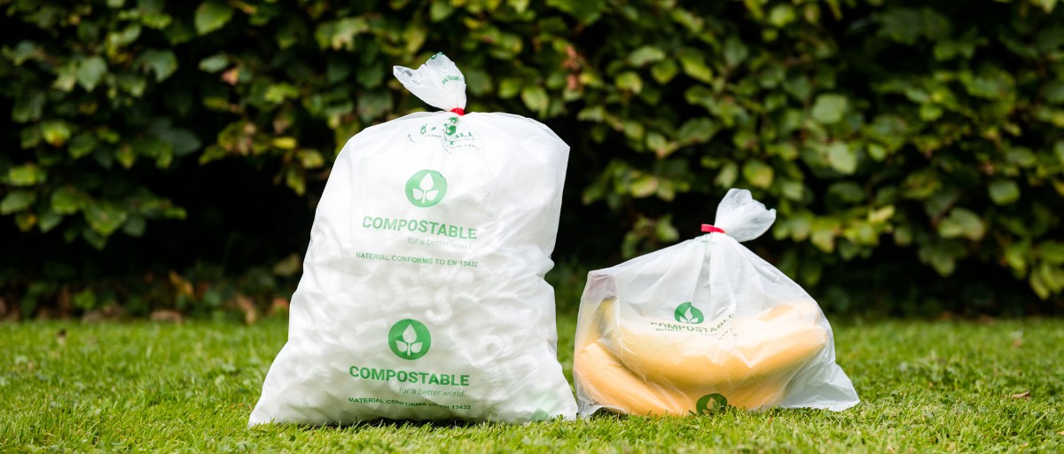 Ảnh minh họa: Polybags