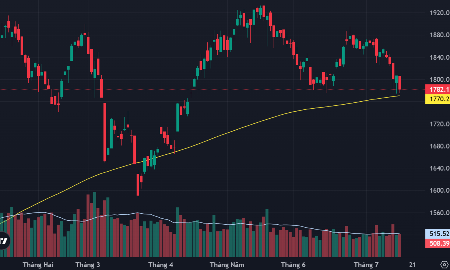VN-Index và đường MA 200 ngày.