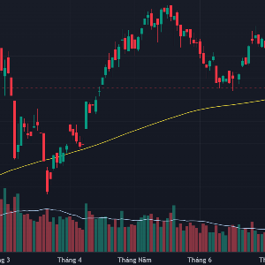 VN-Index và đường MA 200 ngày.