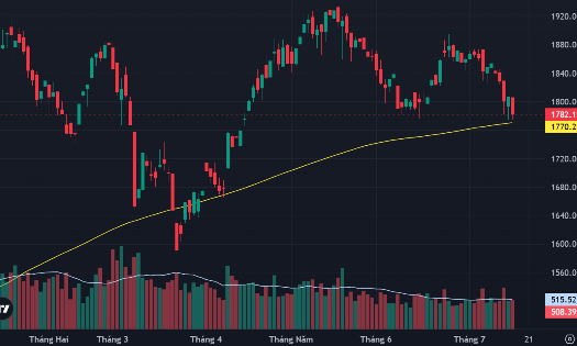 VN-Index và đường MA 200 ngày.