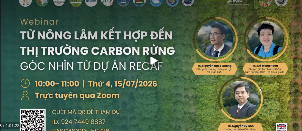 Hội thảo diễn ra theo hình thức trực tuyến.