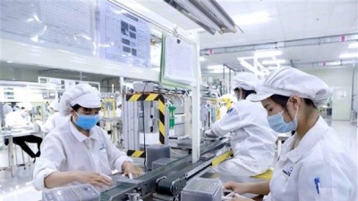 Q2 European business confidence in Vietnam climbs to near seven-year high