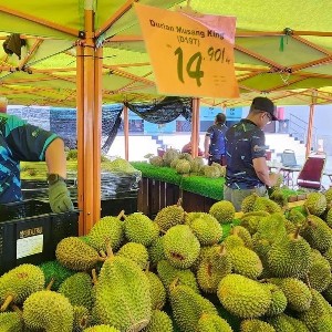 Malaysia đang thúc đẩy kế hoạch vận chuyển sầu riêng tươi sang Trung Quốc bằng đường bộ nhằm giảm chi phí logistics và mở rộng thị trường xuất khẩu, trong bối cảnh dư cung khiến giá sầu riêng lao dốc trong năm 2026. Ảnh: Hazlin Hassan/ST