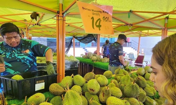 Sầu riêng dư thừa, Malaysia tính mở tuyến đường bộ sang Trung Quốc để