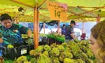Sầu riêng dư thừa, Malaysia tính mở tuyến đường bộ sang Trung Quốc để