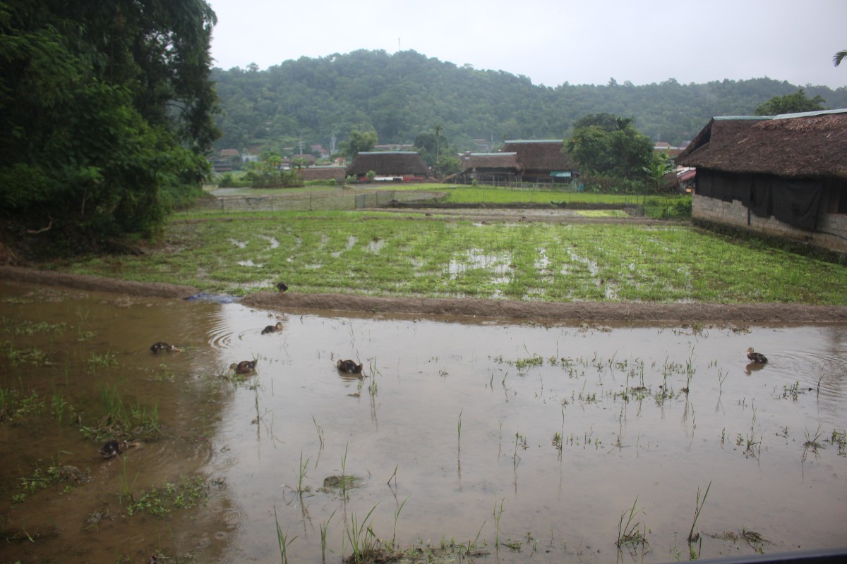 Quang cảnh thanh bình ở thôn Tha. Ảnh: Chu Khôi.