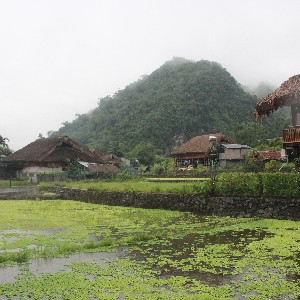 Những ngôi nhà homestay ở thôn Tha. Ảnh: Chu Khôi.