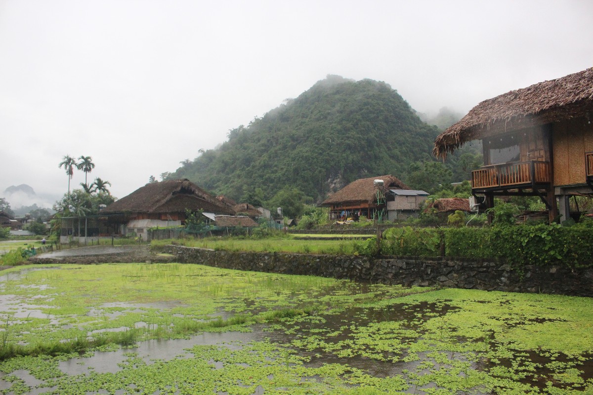Những ngôi nhà homestay ở thôn Tha. Ảnh: Chu Khôi.