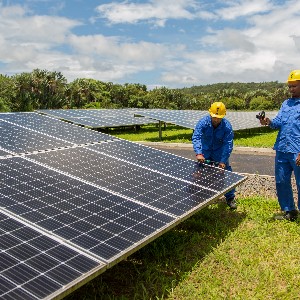 Ảnh minh hoạ. Ảnh: UNDP