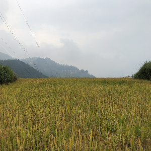 Ảnh minh hoạ. Ảnh: An An
