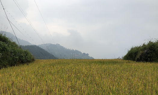 Ảnh minh hoạ. Ảnh: An An