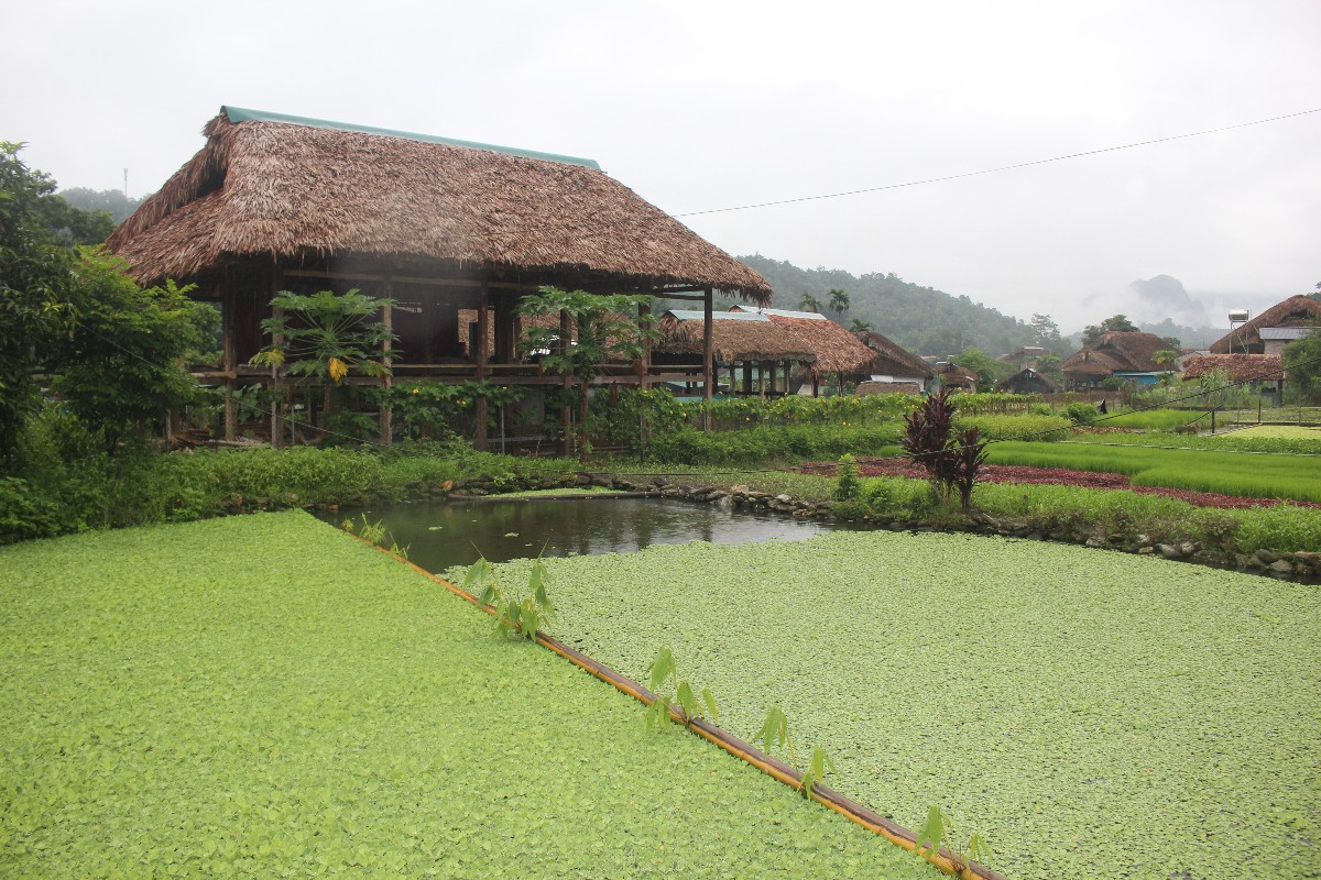 Những ngôi nhà homestay ở thôn Tha. Ảnh: Chu Khôi.