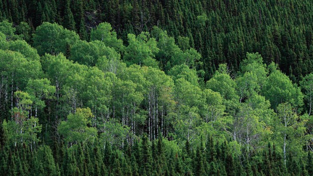 A driving force for green transition 