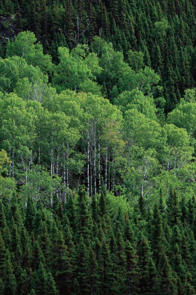 A driving force for green transition 