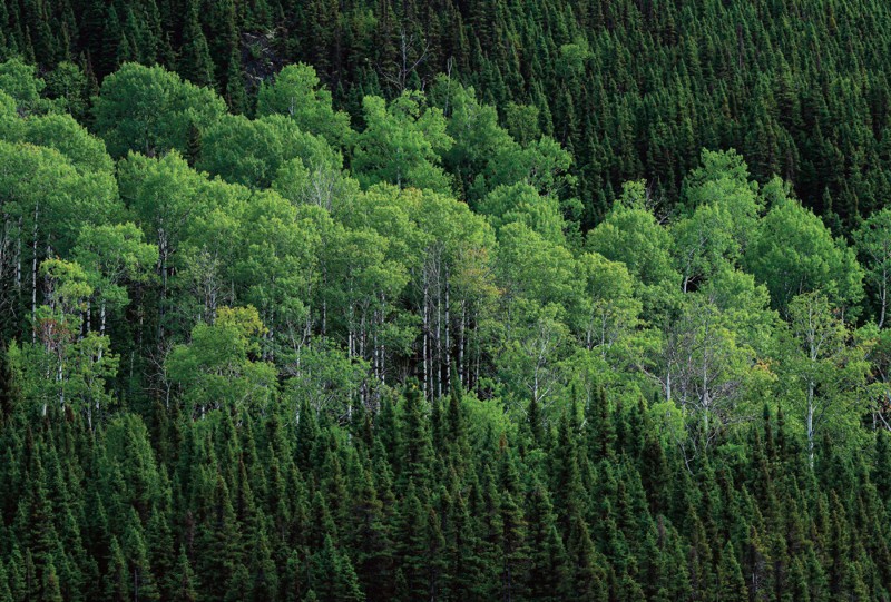 A driving force for green transition 