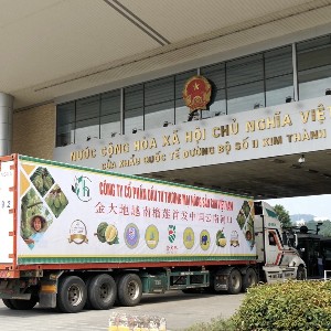 Hải quan yêu cầu thông quan sầu riêng ngay cả ngoài giờ. Nguồn: Báo Lào Cai