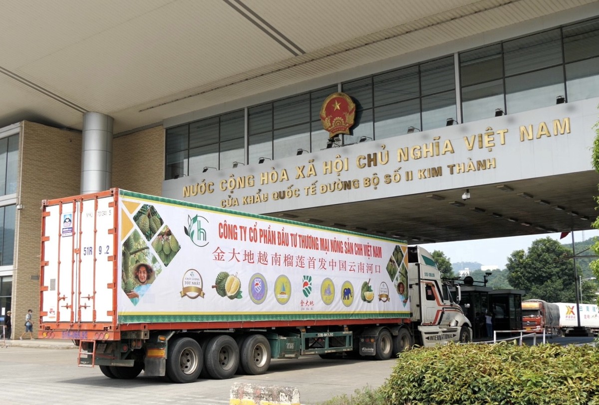 Hải quan yêu cầu thông quan sầu riêng ngay cả ngoài giờ. Nguồn: Báo Lào Cai