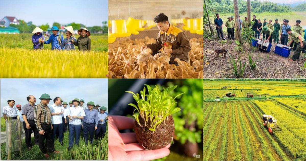 Tháo gỡ rào cản pháp lý, tạo thuận lợi cho...
