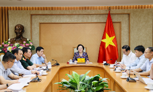 Phó Thủ tướng Phạm Thị Thanh Trà làm việc với các cơ quan về công nghệ giám định ADN xác định danh tính hài cốt liệt sĩ. Ảnh: VGP.