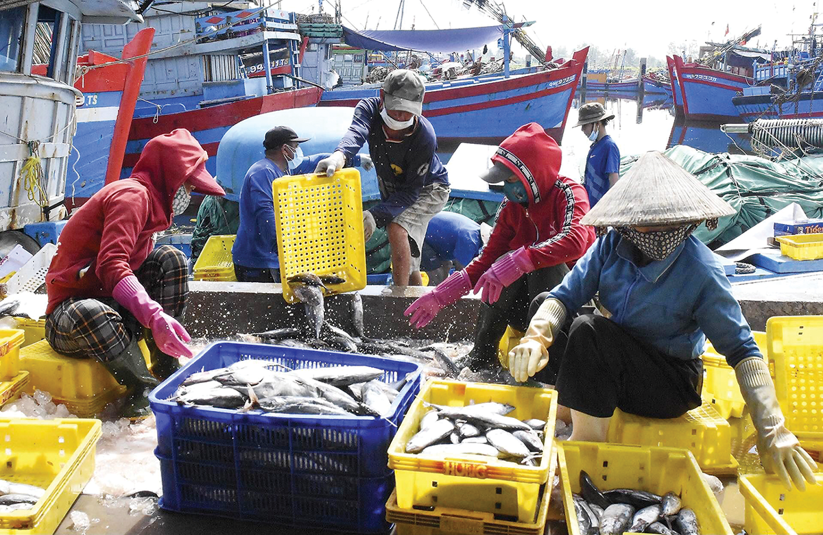 Các địa phương đang rà soát và định hướng quy hoạch vùng nuôi trồng thủy sản. Ảnh: Tạp chí Kinh tế Việt Nam.