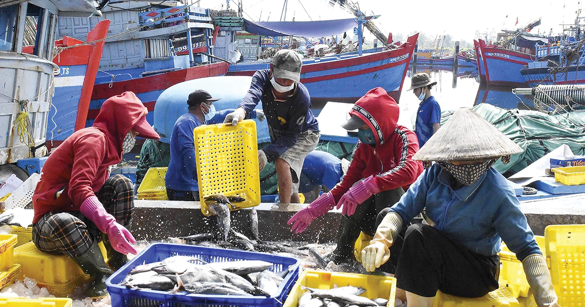 Khơi thông nguồn nguyên liệu, giữ vững đà xuất...