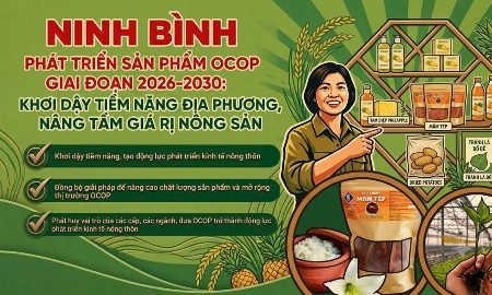 Ninh Bình phấn đấu đến năm 2030 có thêm 200 sản phẩm OCOP từ 3 sao trở lên