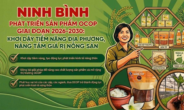 Ninh Bình phấn đấu đến năm 2030 có thêm 200 sản phẩm OCOP từ 3 sao trở lên