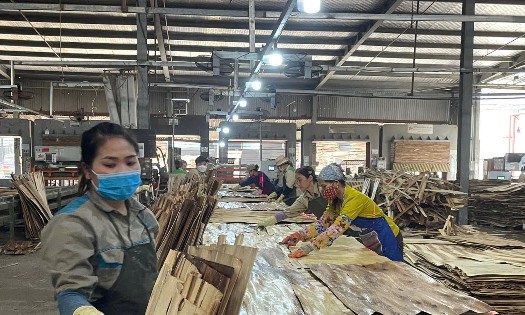 Doanh nghiệp nhỏ và vừa khó tiếp cận những chính sách hỗ trợ của Nhà nước. Ảnh: Vũ Thành