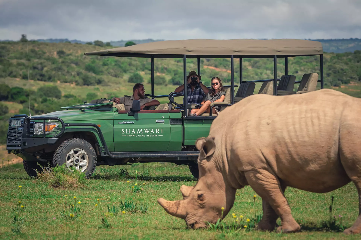 Biến đổi khí hậu đã và đang tác động đến động vật hoang dã. Ảnh: Shamwari Game Reserve