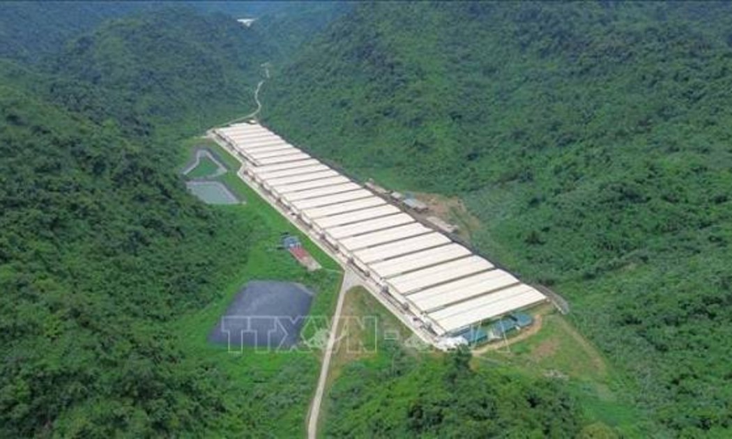 Trang trại chăn nuôi của Công ty TNHH Dabaco Thanh Hóa, nơi xảy ra vụ việc. Ảnh: TTXVN.