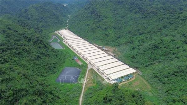 Trang trại chăn nuôi của Công ty TNHH Dabaco Thanh Hóa, nơi xảy ra vụ việc. Ảnh: TTXVN.