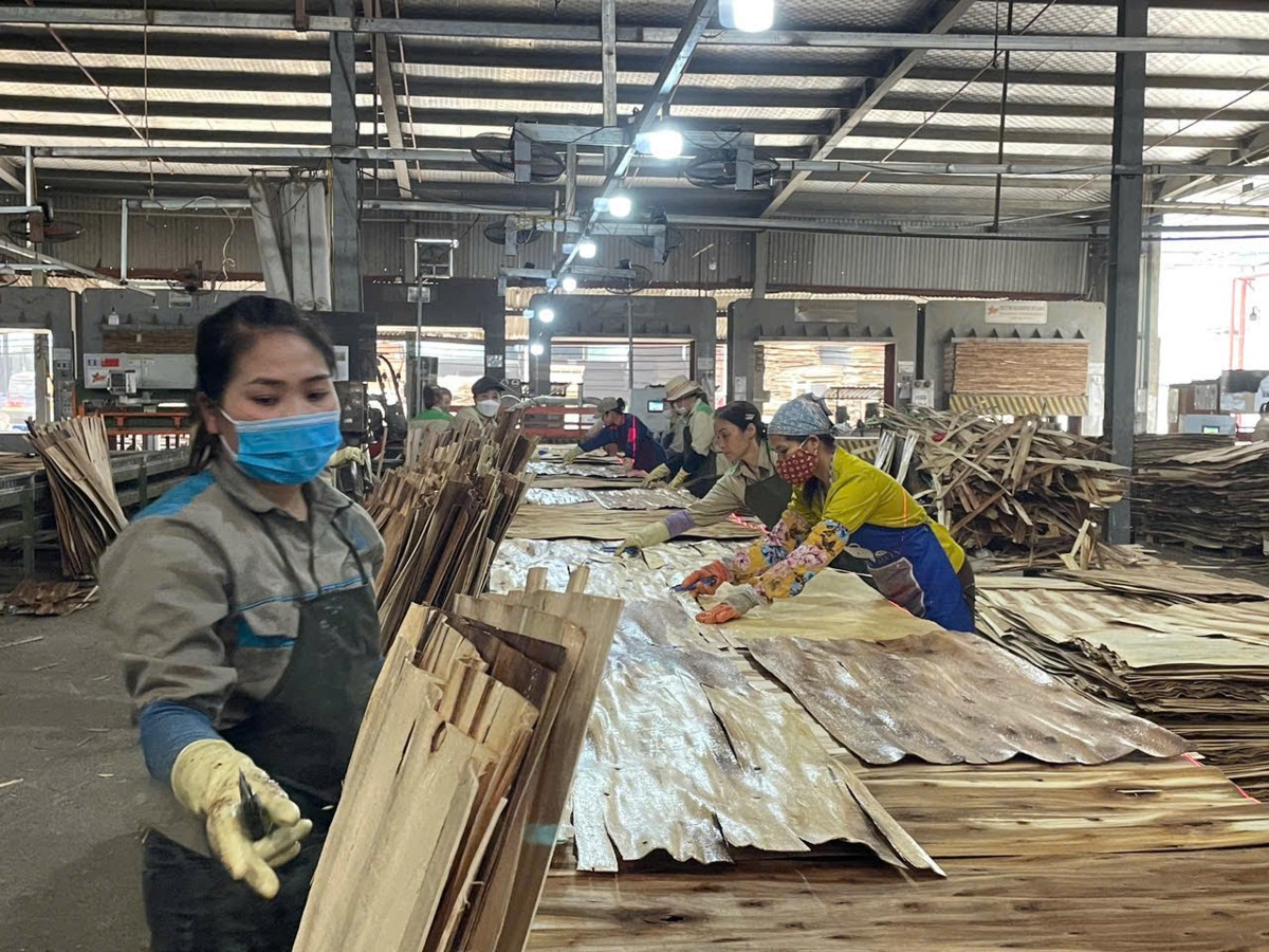 Doanh nghiệp nhỏ và vừa khó tiếp cận những chính sách hỗ trợ của Nhà nước. Ảnh: Vũ Thành