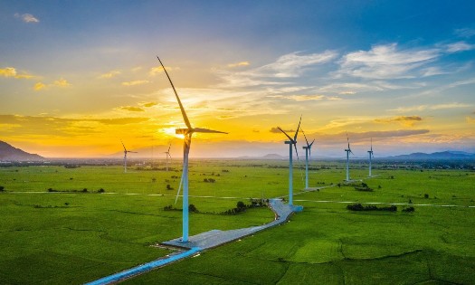 Việt Nam là một trong những quốc gia đi đầu về phát triển năng lượng tái tạo. Ảnh: Báo Chính phủ.