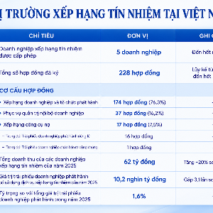 Nguồn: VnEconomy tổng hợp từ báo cáo của Bộ Tài chính (Đồ hoạ: PL)