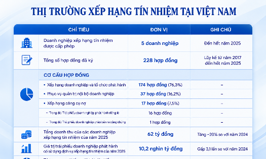 Nguồn: VnEconomy tổng hợp từ báo cáo của Bộ Tài chính (Đồ hoạ: PL)