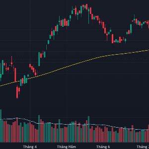 VN-Index vẫn đang dò đáy.