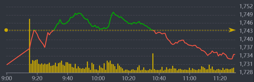 Diễn biến VN-Index sáng nay.