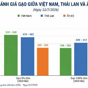 So sánh giá gạo xuất khẩu của Việt Nam với Ấn Độ và Thái Lan. Nguồn: Hiệp hội Lương thực Việt Nam.