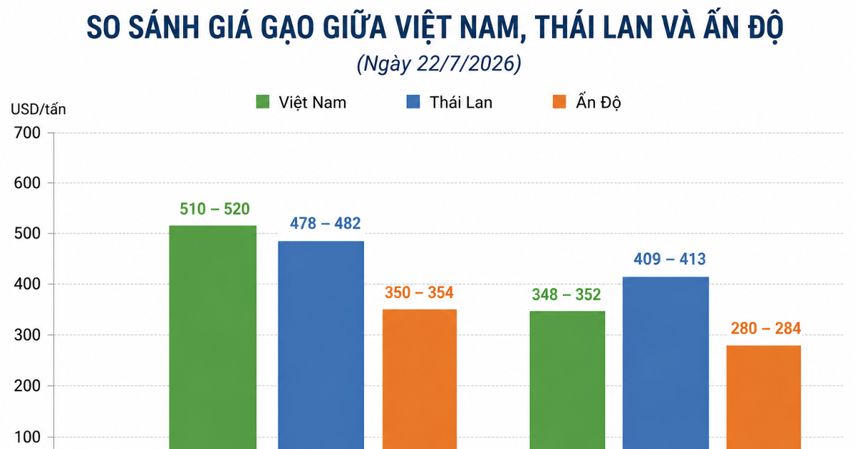 Giá gạo xuất khẩu phục hồi nhưng doanh nghiệp vẫn chịu áp lực cạnh tranh