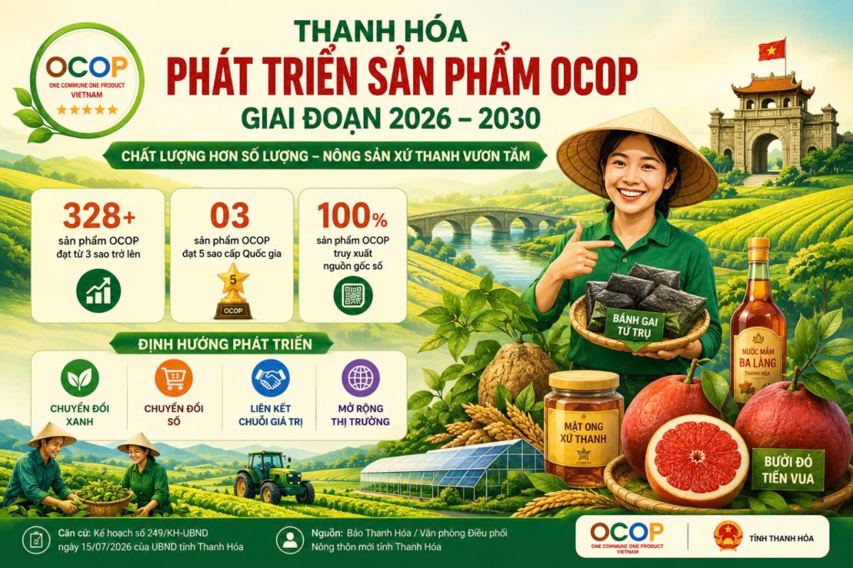 Kế hoạch phát triển sản phẩm OCOP Thanh Hóa đến năm 2030. Đồ họa: TXT.