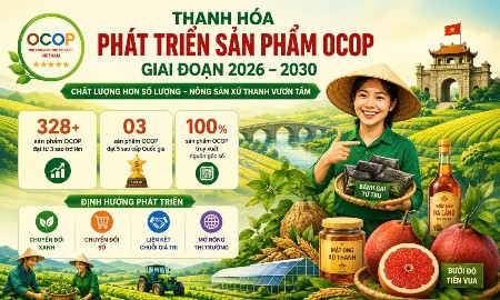Kế hoạch phát triển sản phẩm OCOP Thanh Hóa đến năm 2030. Đồ họa: TXT.