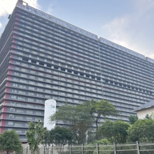 Một trang trại chăn nuôi lợn ở Hồ Bắc, Trung Quốc - Ảnh: Nikkei Asia.