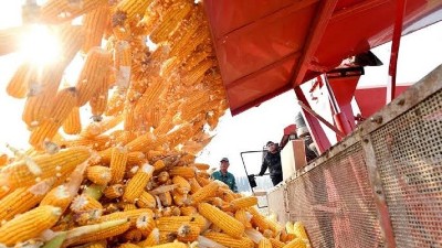 Argentina places Vietnam at the heart of its global agricultural strategy