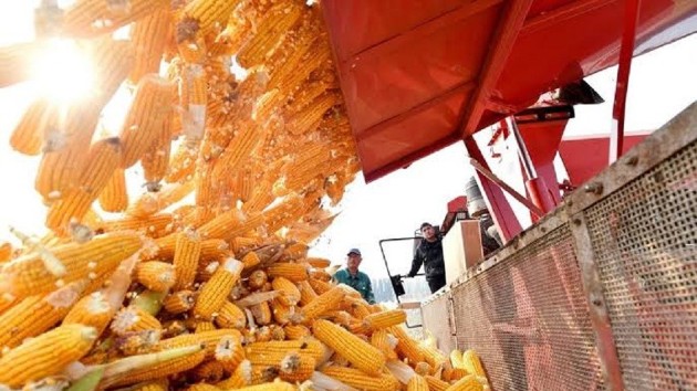 Argentina places Vietnam at the heart of its global agricultural strategy