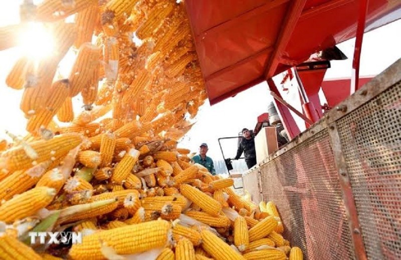 Argentina places Vietnam at the heart of its global agricultural strategy